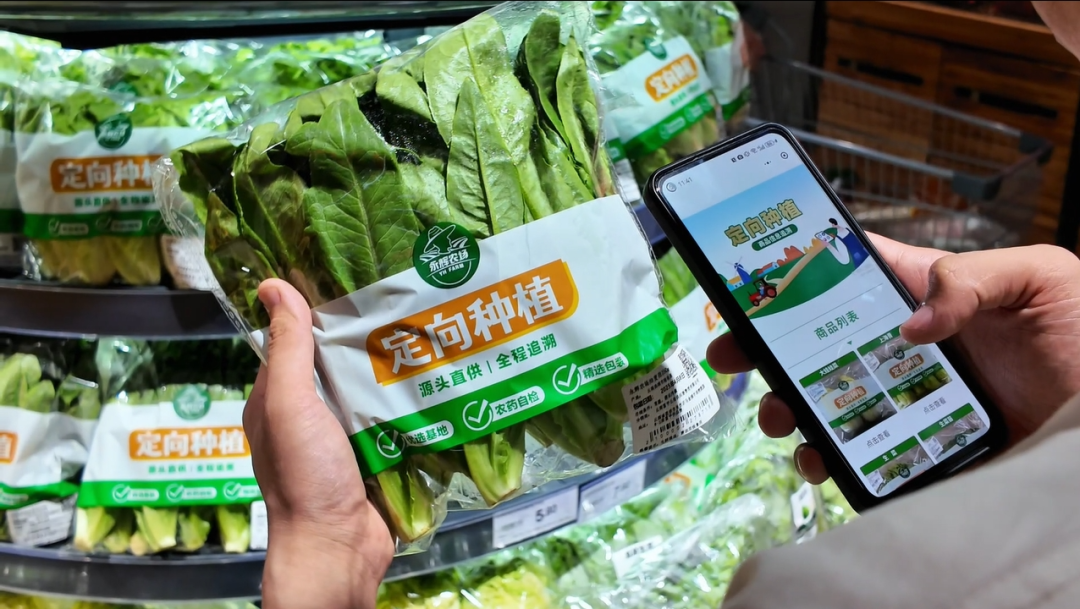 NG28南宫(中国)官方网站