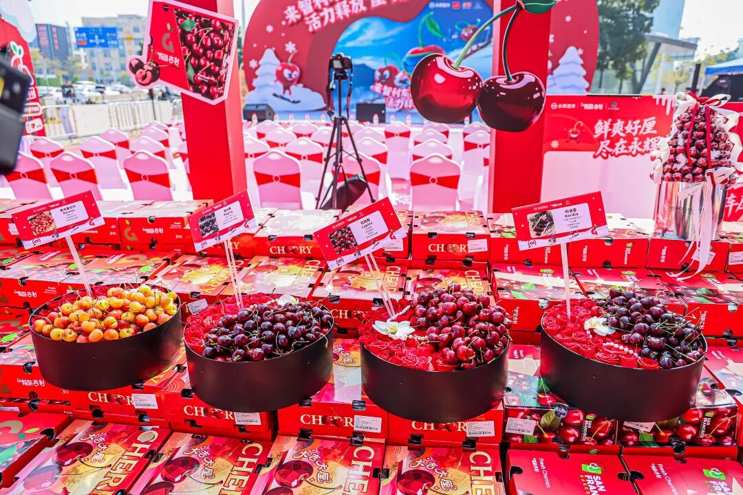 NG28南宫(中国)官方网站