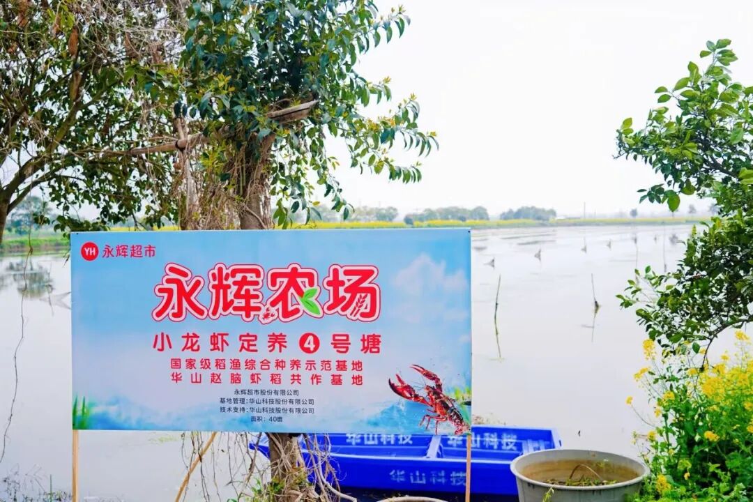 NG28南宫(中国)官方网站