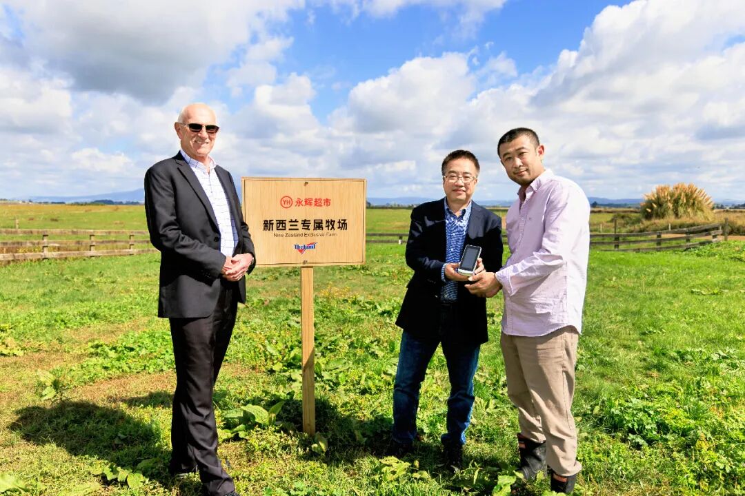 NG28南宫(中国)官方网站