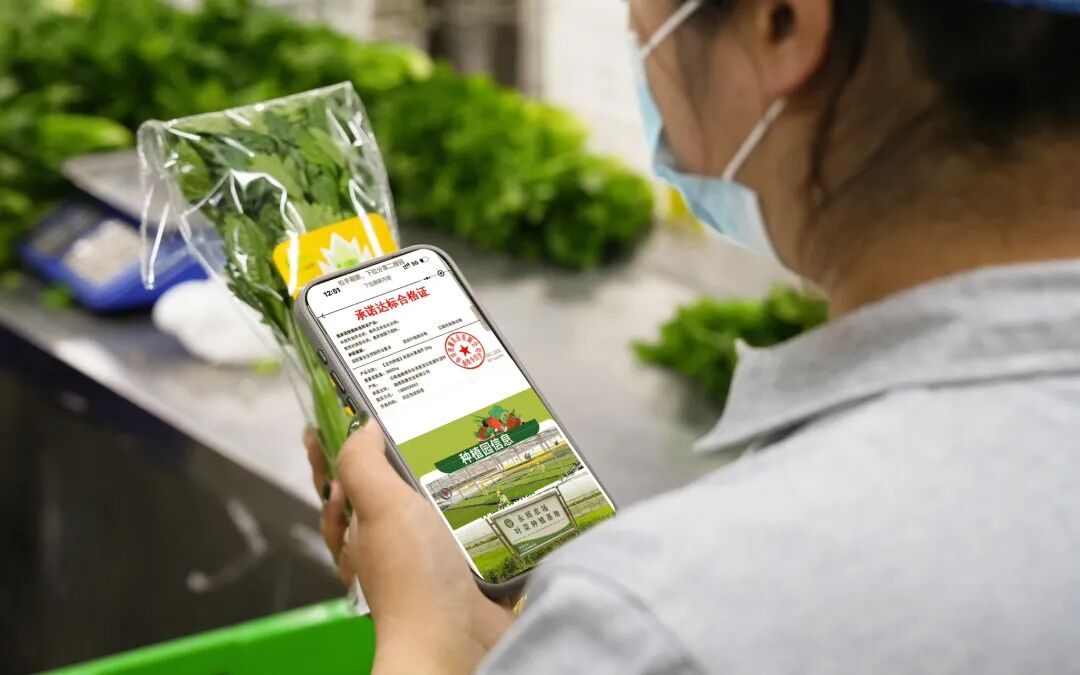 NG28南宫(中国)官方网站