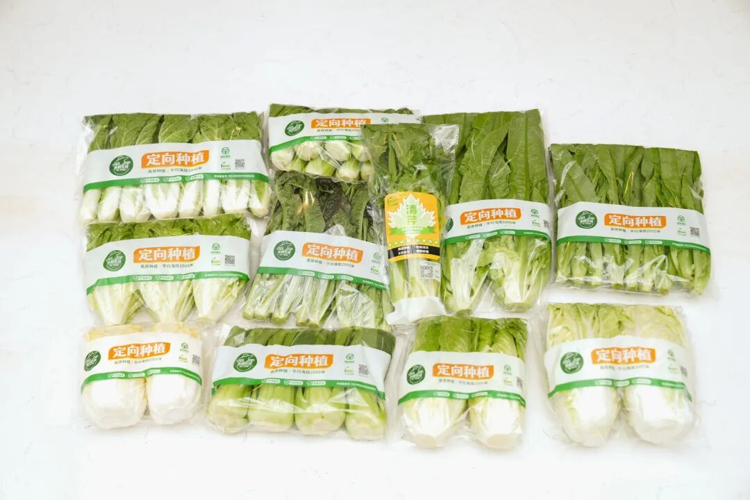 NG28南宫(中国)官方网站