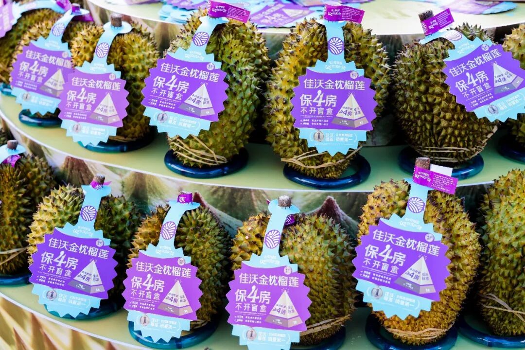 NG28南宫(中国)官方网站