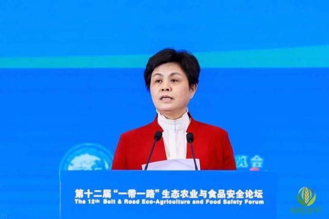 NG28南宫(中国)官方网站