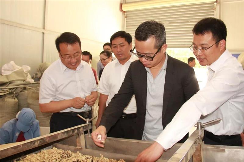 NG28南宫(中国)官方网站