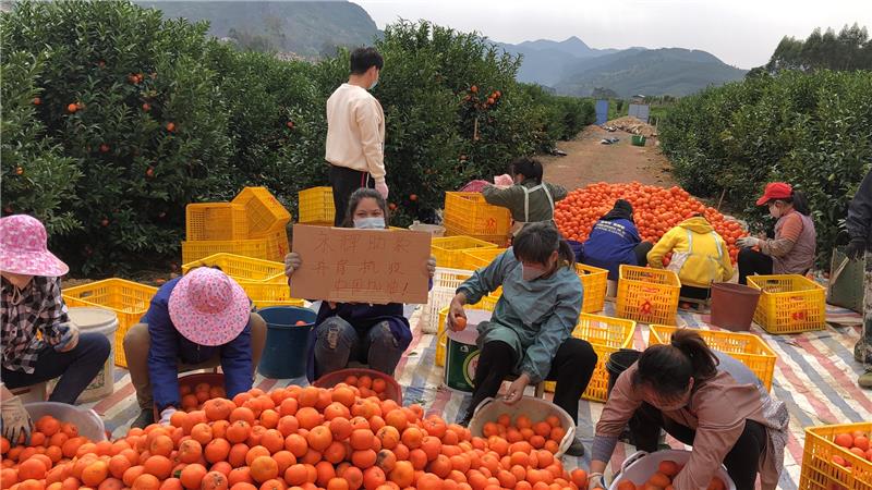 NG28南宫(中国)官方网站