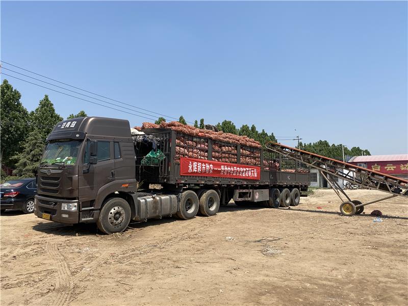NG28南宫(中国)官方网站