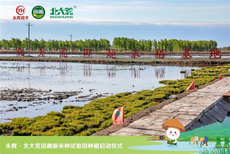 NG28南宫(中国)官方网站