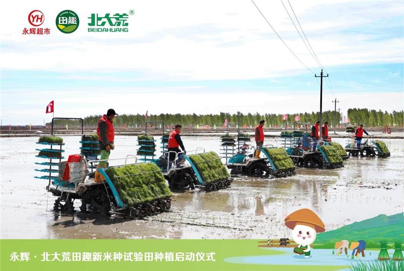 NG28南宫(中国)官方网站