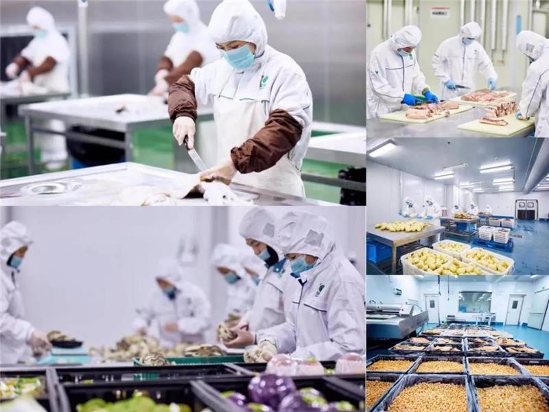 NG28南宫(中国)官方网站