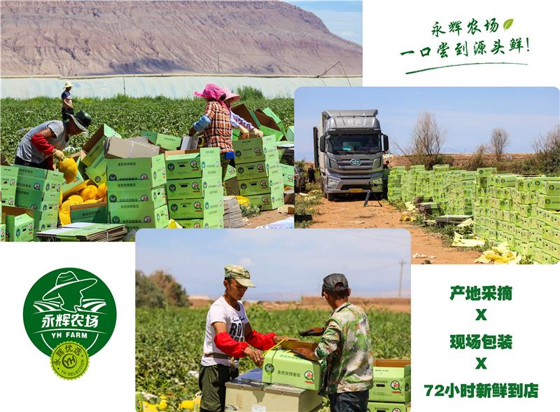 NG28南宫(中国)官方网站