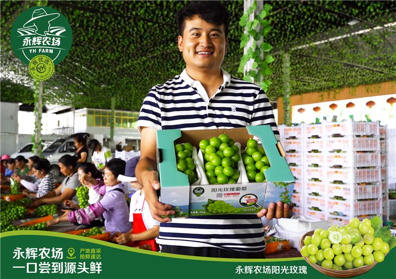 NG28南宫(中国)官方网站