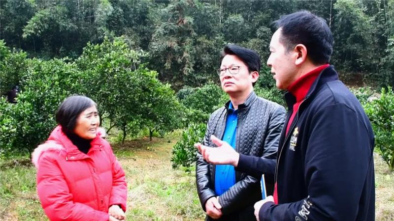 NG28南宫(中国)官方网站