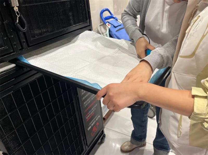 NG28南宫(中国)官方网站