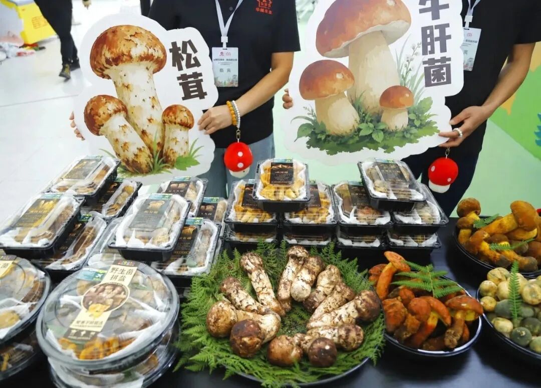 NG28南宫(中国)官方网站