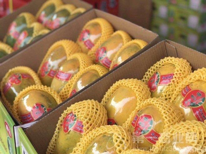 NG28南宫(中国)官方网站