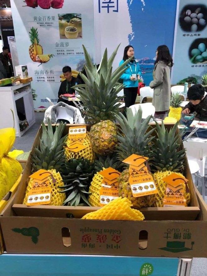 NG28南宫(中国)官方网站