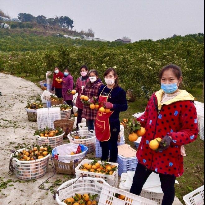 NG28南宫(中国)官方网站