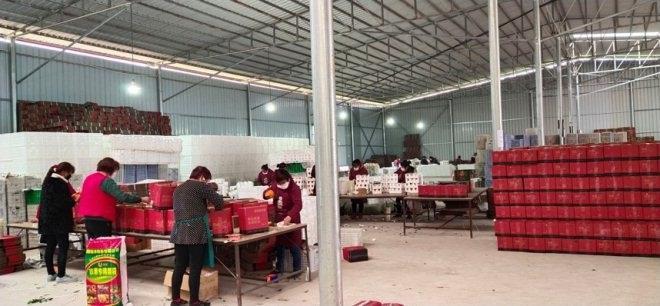 NG28南宫(中国)官方网站